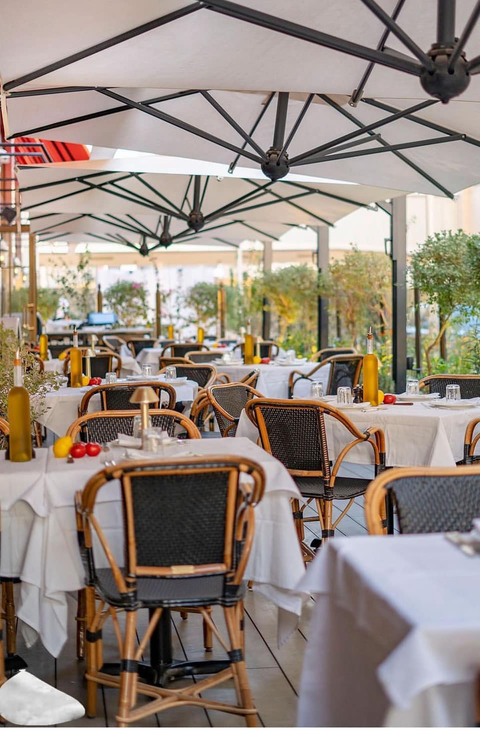 Elegant outdoor dining area under umbrellas with rattan chairs and white tablecloths in a garden setting