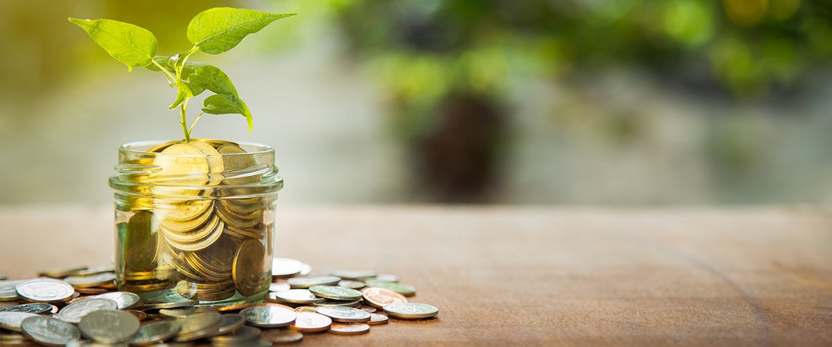 Money tree with green leaves and coins hanging from its branches, symbolizing the concept of saving money.
